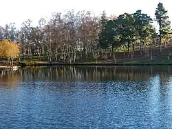 View of the lake.