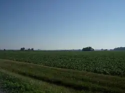 Farm fields in Marion Township