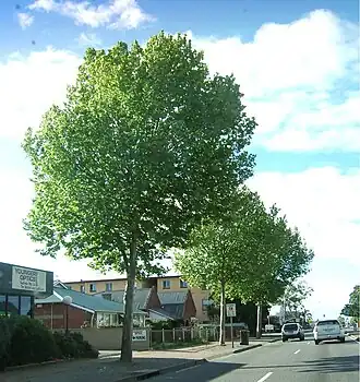 Looking north along South Road, Marleston is to the west.