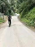 Cycling Trail in Mashobra