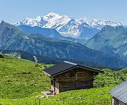 Image 34Mont Blanc massif (from History of the Alps)