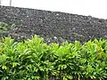 closer view of heiau wall