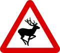 Wild animals (deer)