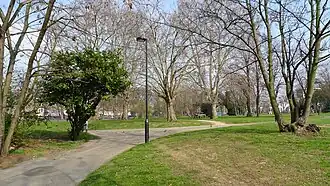 Green park with trees