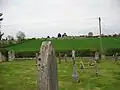 Village field and lane