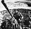 Free French anti-aircraft crew using a captured Italian 20 mm Breda anti-aircraft gun, May 1942