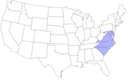 Location of teams in