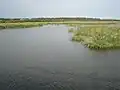 Wetlands