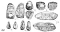 Worked flints found on Meayll Hill