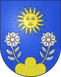 Coat of arms of Medeglia