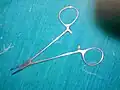 Artery forceps or Haemostat