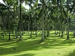 Meenakshipuram amidst the Western Ghats