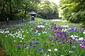 Meiji Shrine Gyoen (inner garden)
