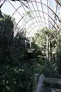Inside the Great Flight Aviary