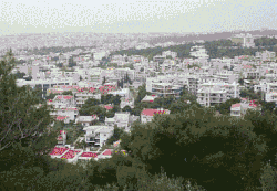 The Beehives' Land