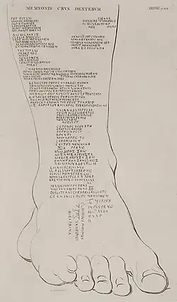 1743 transcription