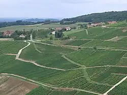 A general view of Menétru-le-Vignoble