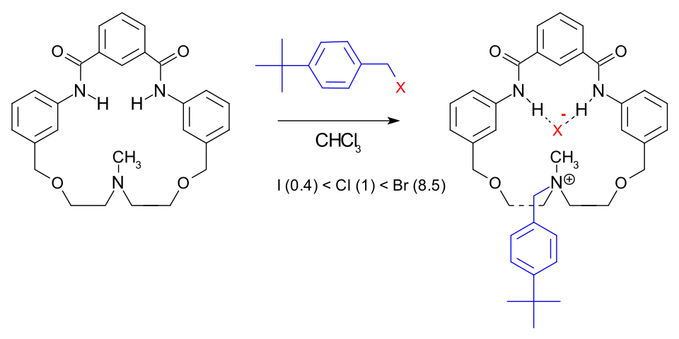 Accelerated reaction.[4]