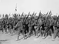 Ottoman M1887 Rifles in WW1