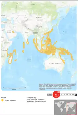 Messmate pipefish range around the Indo-Pacific