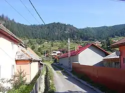 Meștera
