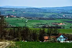 Metovnica