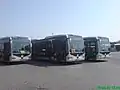 Mercedes-Benz CapaCity buses used on the Metrobus.