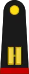 Teniente (Mexican Army)[55]