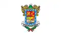 Flag of Santa Ana Maya Municipality