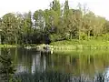 Lake in Mezőcsokonya
