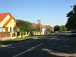 Voiniceni