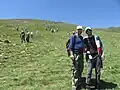 Mahboub Hosseinzadeh & Dr Farid Khanahmadi at the National Avrin Mountain Gathering