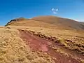 Trail to the summit