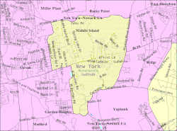 U.S. Census map