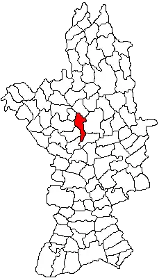 Location in Olt County