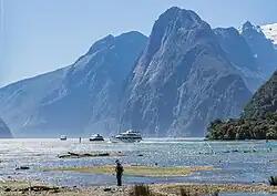 Image 16Fiordland is dominated by steep, glacier-carved valleys. (from Geography of New Zealand)