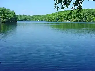 Tranquil blue pond