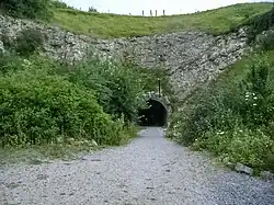 A partly overgrown concrete entrance leads into a dark tunnel under a grass—covered hillside, with a gravel path in the foreground