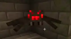 A spider.