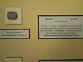 The mineral ardaite on display at the National Museum of Natural History, Bulgaria