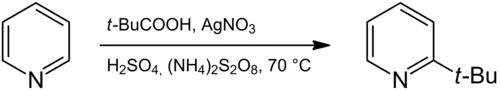 Line reaction for an example of a Minisci reaction. Starting material is pyridine. Reagents are pivalic acid, silver nitrate, sulfuric acid, and ammonium persulfate. Seventy degrees celcius. Product is 2-tertbutylpyridine.