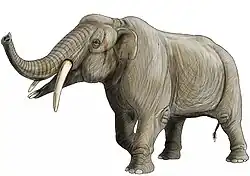 Life restoration of Zygolophodon proavus, showing elongate lower jaw with lower tusks, and downward curving upper tusks