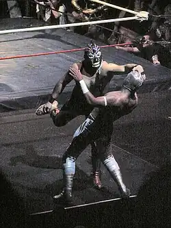 Two masked wrestlers fighting outside the ring, with one wrestling trying to pull the mask off the other.