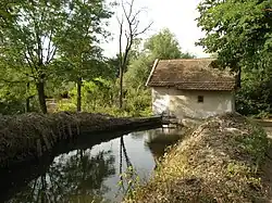 Răcășdia village watermill