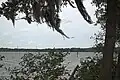 Mobbly Bayou Upper Tampa Bay View