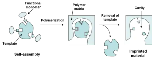 Preparation of molecularly imprinted material