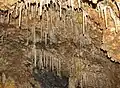 Grutas de Cristal stalactites