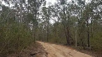 Bush track, 2023