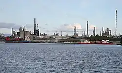 View of the site