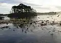 Monikie reservoir Originally built to supply water to Dundee